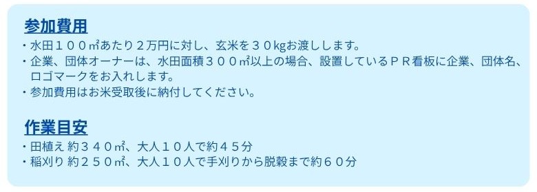 年間スケジュール 図解